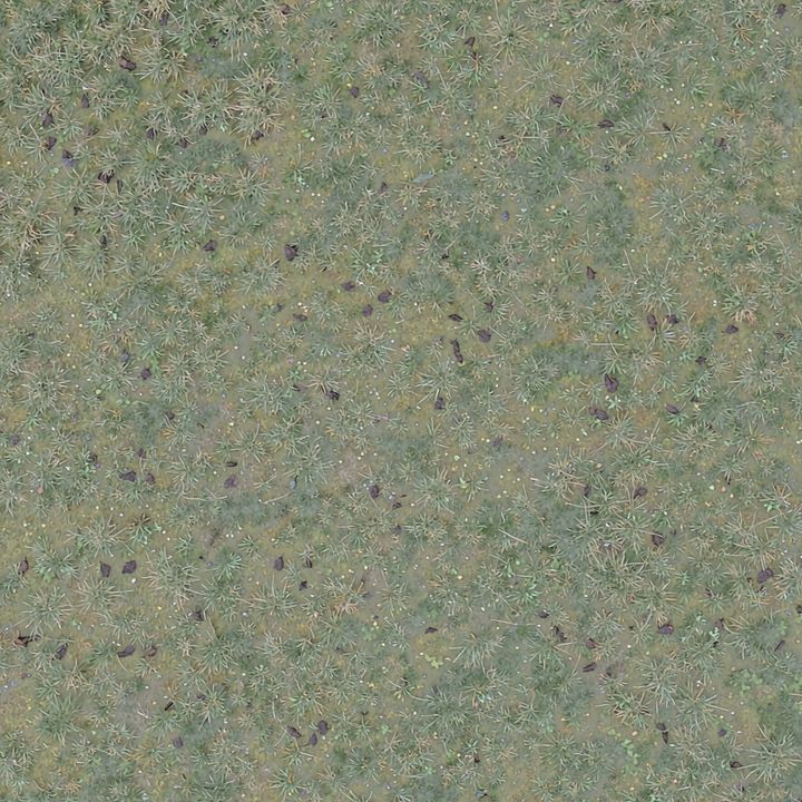 野外地面